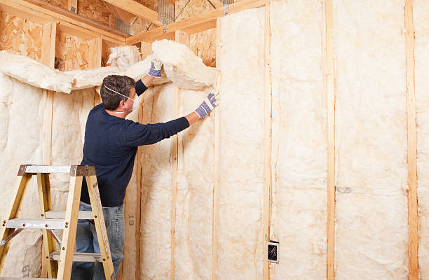 Best Basement Insulation in Greenwood, LA